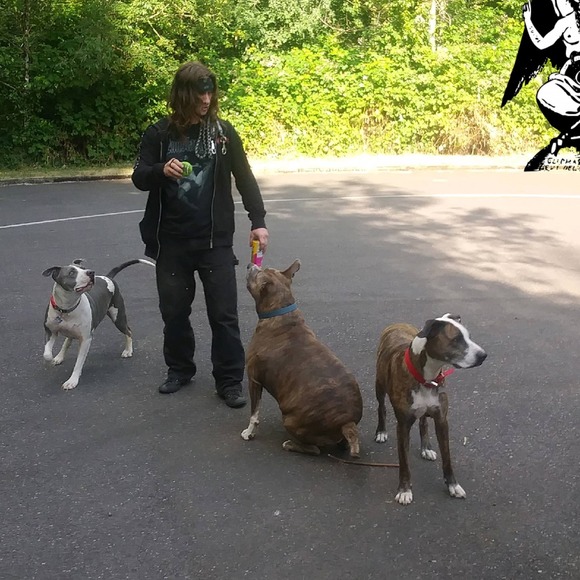 Meet your Posher, Johnny - Picture 1 of 1